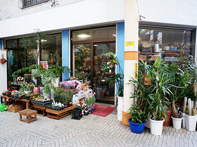 としの花屋